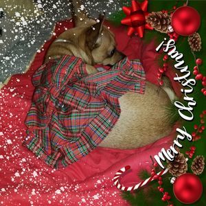 Meet your Posher, Brenda